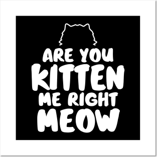 Are You Kitten Me Right Meow Posters and Art